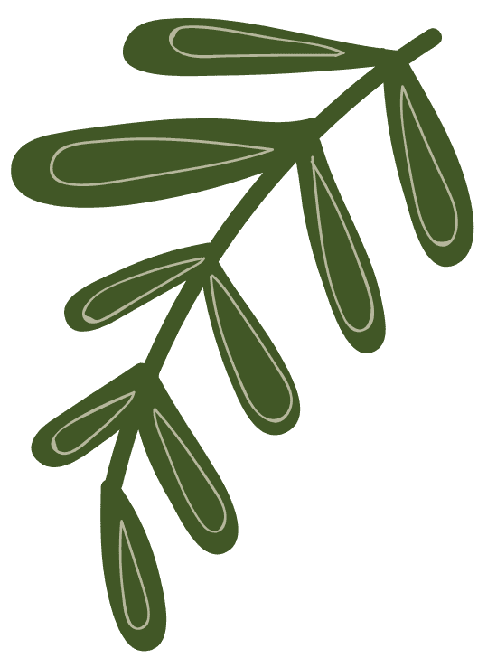 TRẦN ĐỨC NAM